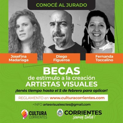 BECAS de Estímulo a la Creación para ARTISTAS VISUALES 