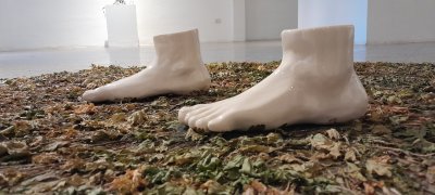 Malezas y trepadoras