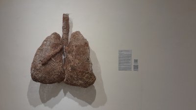Patrimonio. Un rescate de la memoria