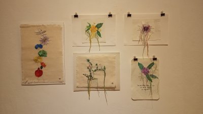Muestra colectiva  “Tereré” en la Sala del Sol 